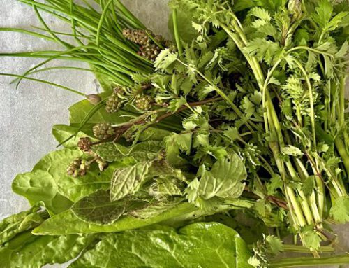 Frühlingsgefühle in der Küche – Frankfurter Grüne Sauce