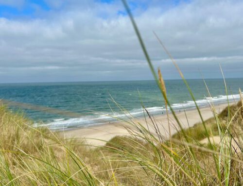 Syltliebe – Die Vielseitigkeit der Nordseeinsel
