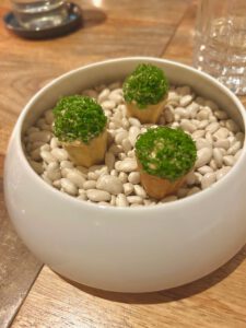 IMG_9733 Croustade